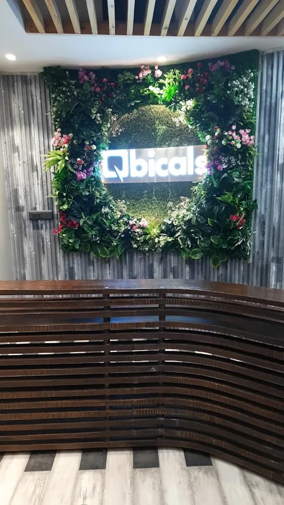 Qbicals