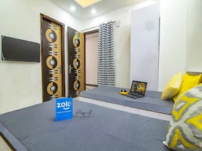 Zolo Coliving Sector 62 Noida